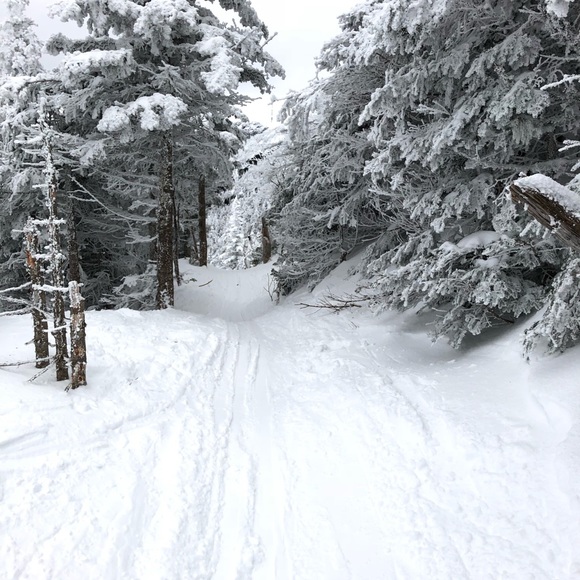 Meet your Posher, Michael - Picture 1 of 1